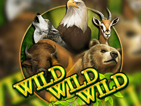 Wild Wild Wild game thumbnail