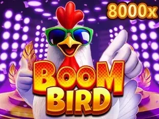 Boom Bird game thumbnail